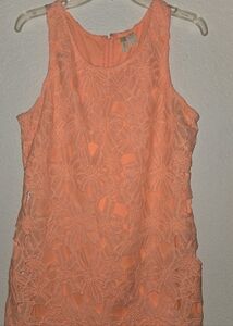 Japna Coral Lace Sleeveless Blouse